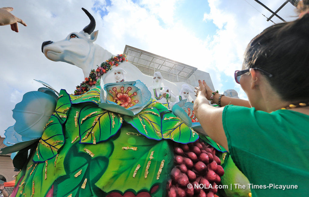 Rex rolls in New Orleans: See photos of the Mardi Gras parade